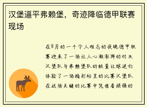 汉堡逼平弗赖堡，奇迹降临德甲联赛现场